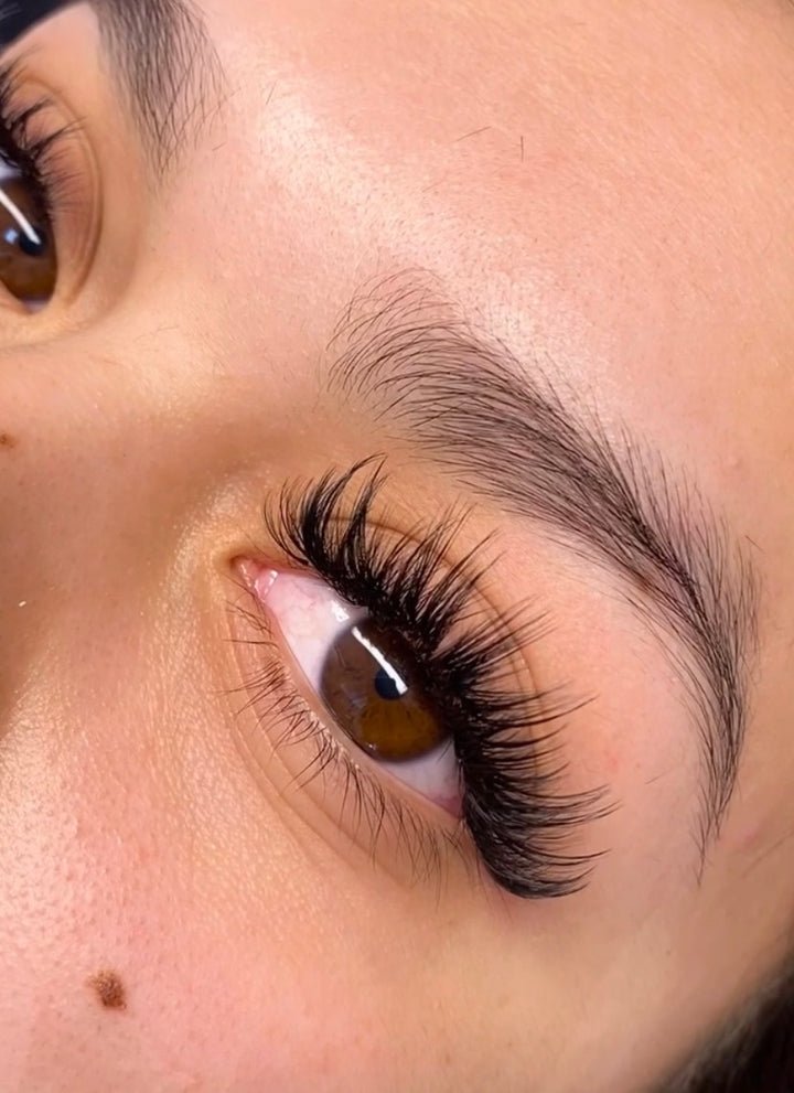 Debunking the Myth: Lash Extensions and the Truth About Natural Lash Health